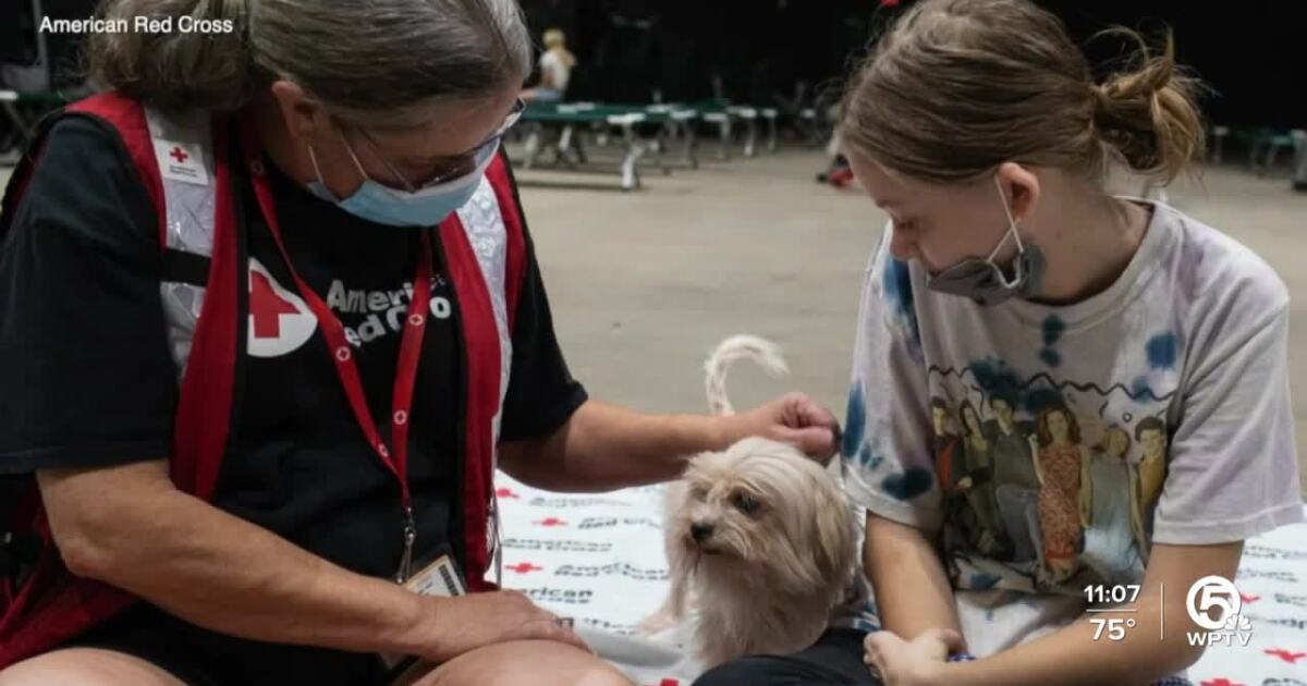 American Red Cross deploys hundreds to southwest Florida [Video]