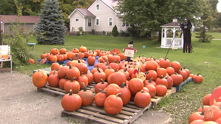 Pumpkin Market Ran by Local Couple Donates Proceeds to Families in Need – Erie News Now [Video]