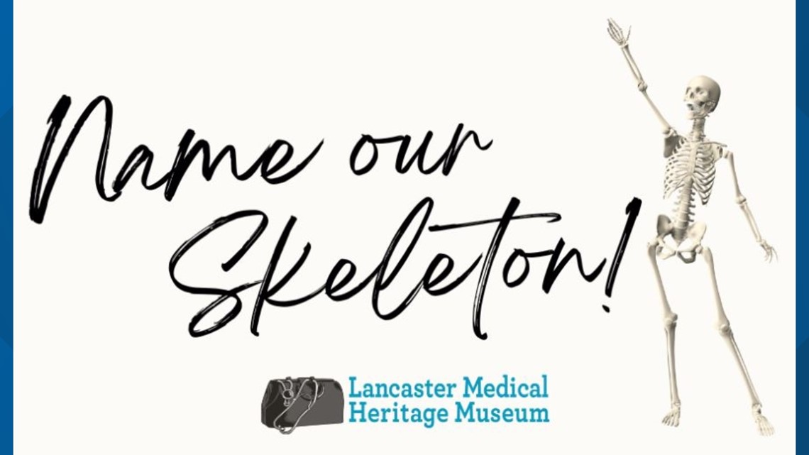 Name Our Skeleton Contest launched at local museum [Video]