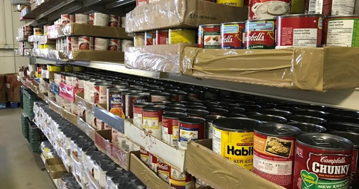 This is a crisis: Albertans experiencing highest rates of food insecurity in Canada [Video]