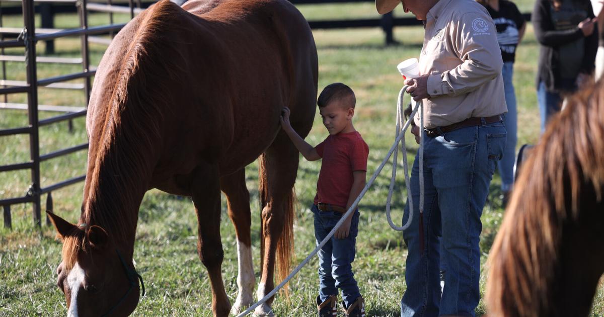 Veteran’s Club shows off equine therapy program to public for ‘Week of Valor’ | News [Video]