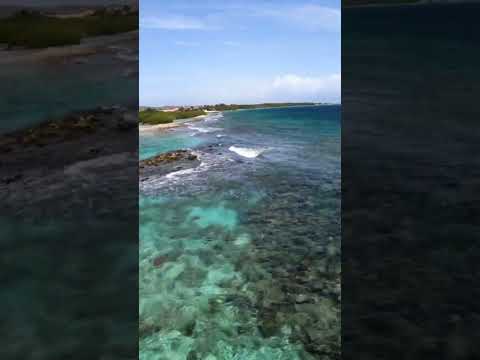 Exploring Aruba with FPV drone [Video]