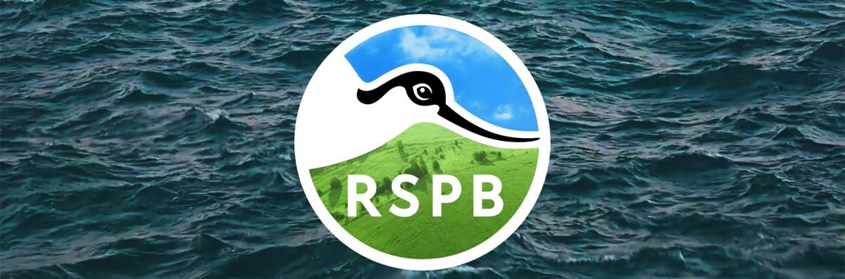 New RSPB branding reconciles urgency with inclusivity [Video]