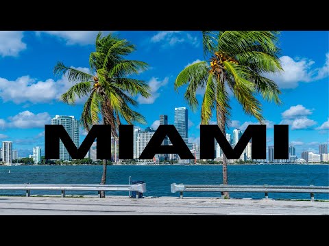 THINGS TO DO IN MIAMI [Video]