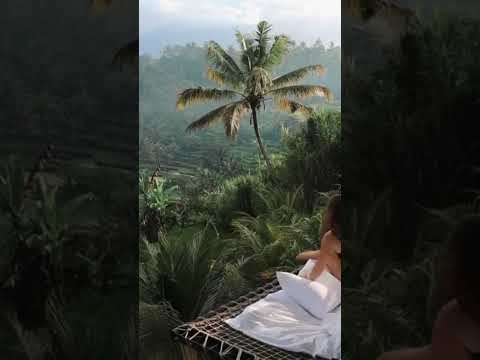 Camaya bamboo house in Bali [Video]