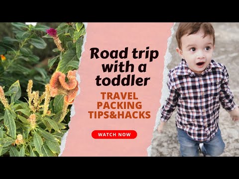 First Road trip with my toddler|| Travel packing|| Tips and hacks #journeywithjunior #toddlerlife [Video]