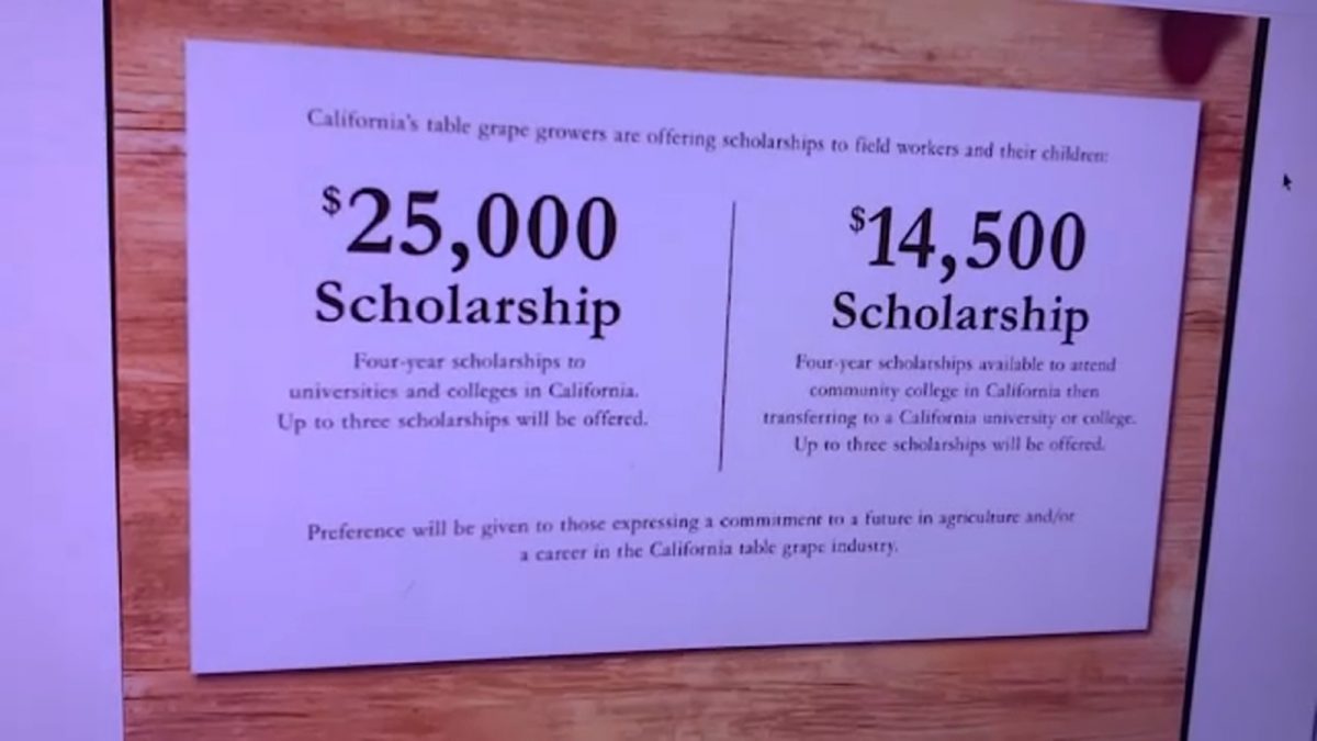 California Table Grape Growers offers scholarship to farm workers, families, students interested in ag [Video]