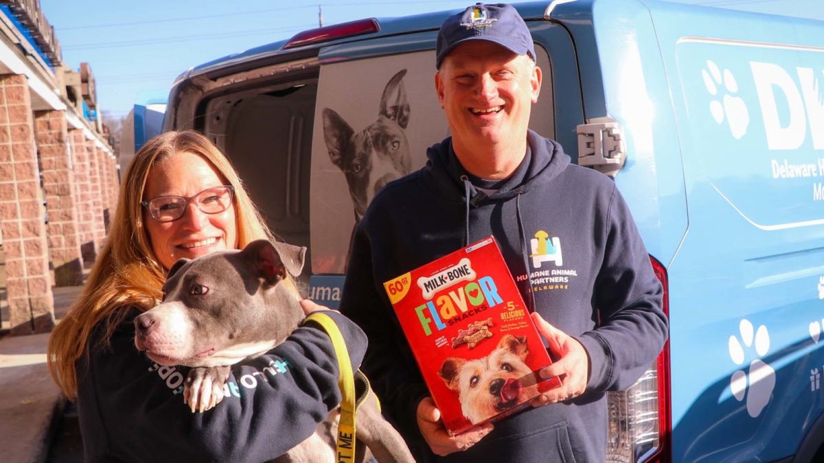 Help for homeless pets comes in time for the holidays in Delaware [Video]