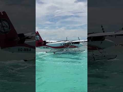 MALDIVES from the Sky, Amazing Seaplane Experience #shorts #maldives [Video]