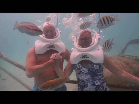 Aruba 2022 – Celebrity Edge [Video]
