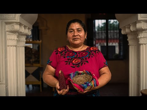 Meet the restaurant preserving Guatemala’s native corn [Video]