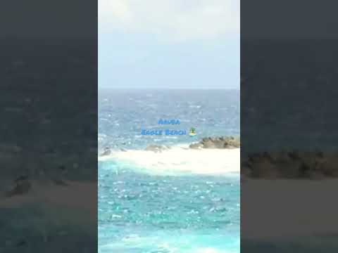 Dreaming of a vacation on Eagle Beach Aruba#aruba #vacationgoals #beaches #traveldiaries [Video]