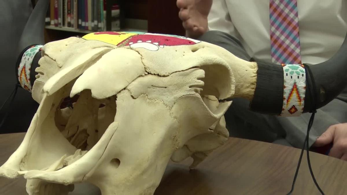 Student-decorated bison skull supports Great Falls Children’s Receiving Home [Video]