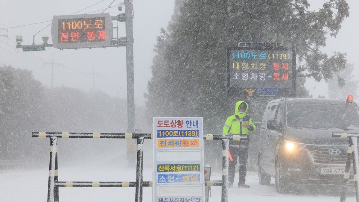 South Korea, Japan face deaths, travel disruptions amid heavy snow storm [Video]
