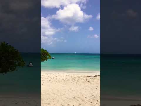 The best beach in the Caribbean [Video]