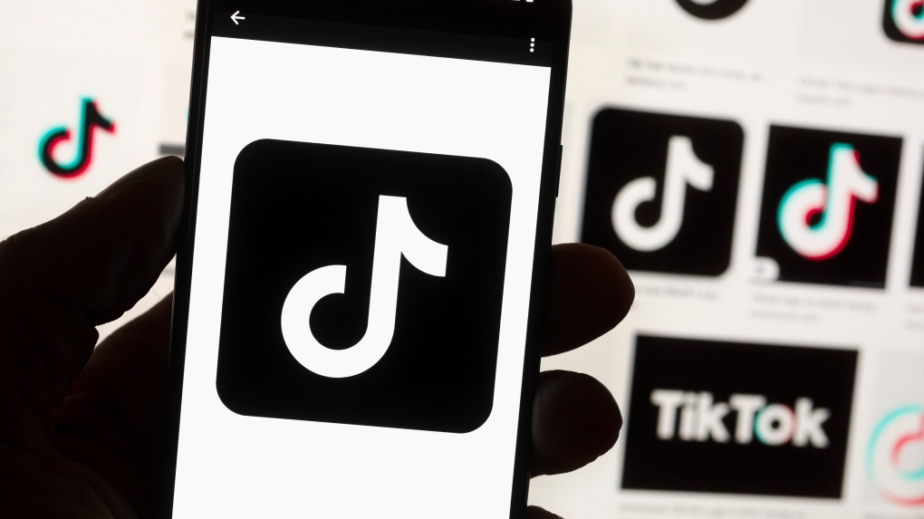 TikTok to remain sponsor at Broadbent Institute conference [Video]