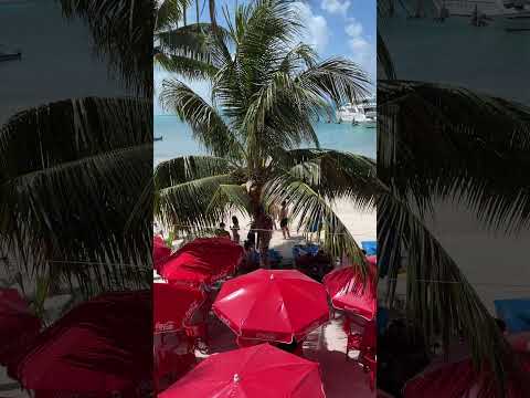 Isla Mujeres Mexico is Tropical Magic #Shorts [Video]