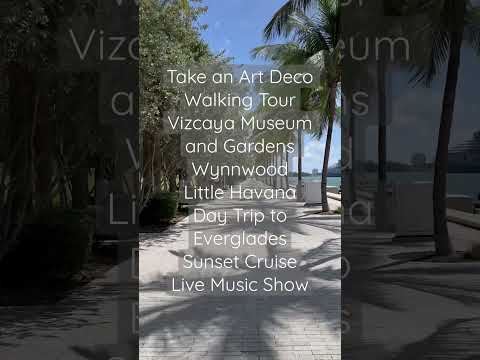 Unique Things to do in Miami [Video]