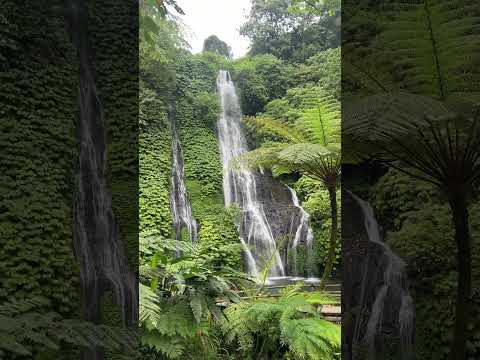 Chasing Waterfalls in Bali 🦋💦 [Video]