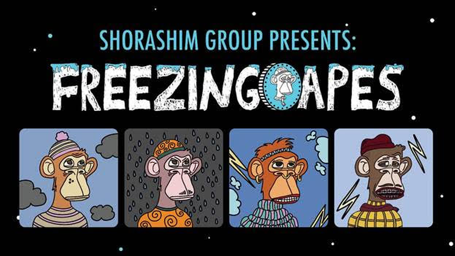 These Freezing Apes NFTs Will Help Pay For Elderly Peoples Electricity Bills in Israel [Video]