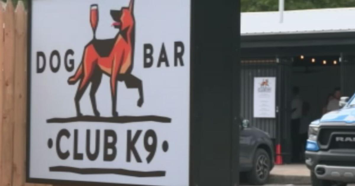 Club K9 Dog Park & Bar hosting annual ‘Doggie Derby’ on Saturday | Community [Video]