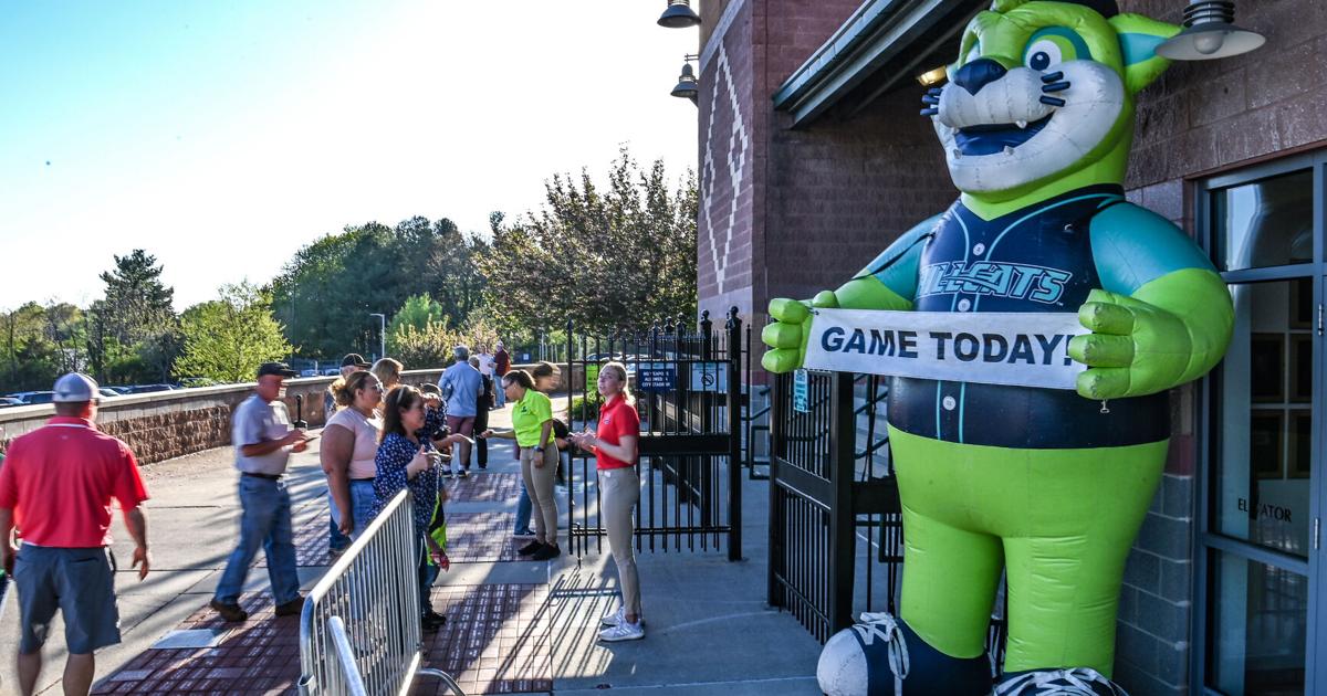 Hillcats starts new community fundraising effort to aid local nonprofits [Video]