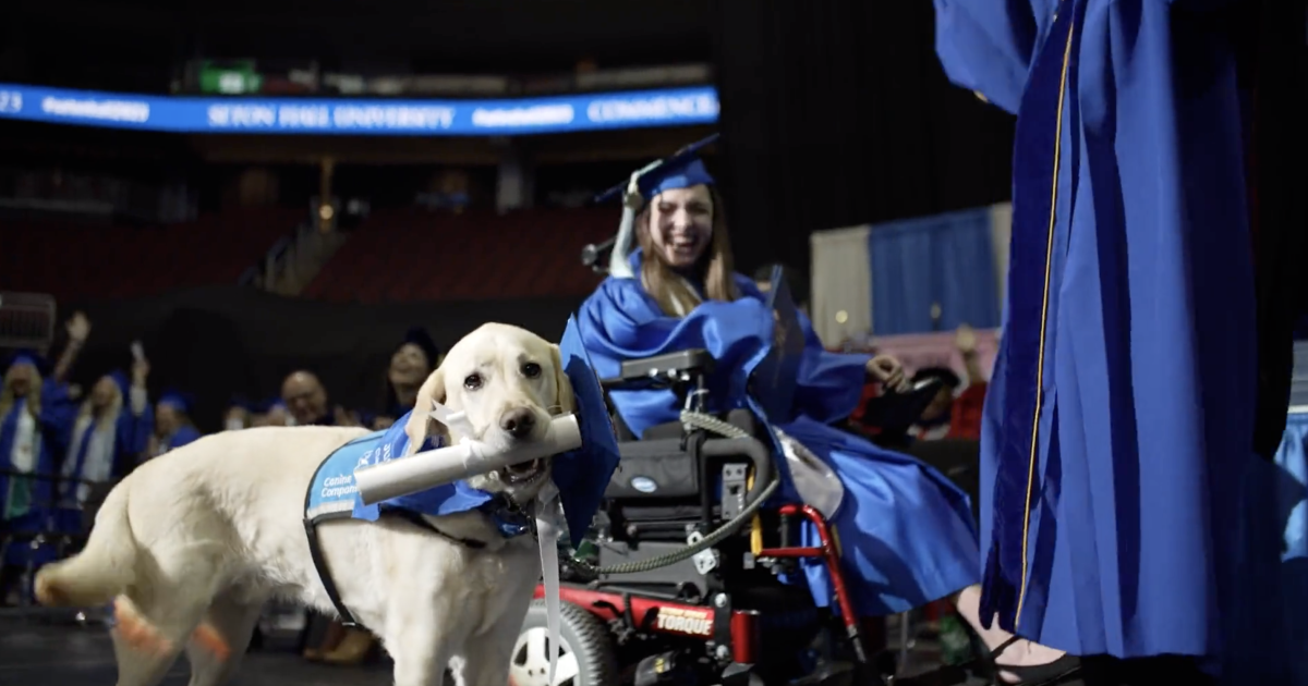Service dog receives diploma with owner at New Jersey college graduation [Video]