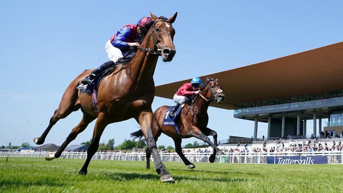 Tattersalls Gold Cup report, reaction and free video replay