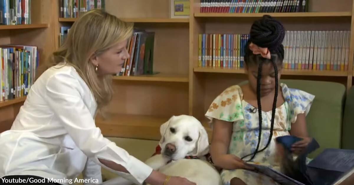 How Therapy Dogs from an NYC Program Motivate Students in Practicing Their Reading Skills [Video]