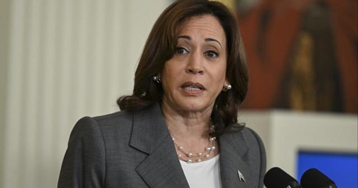 What role will Vice President Harris play in Biden’s reelection campaign? [Video]