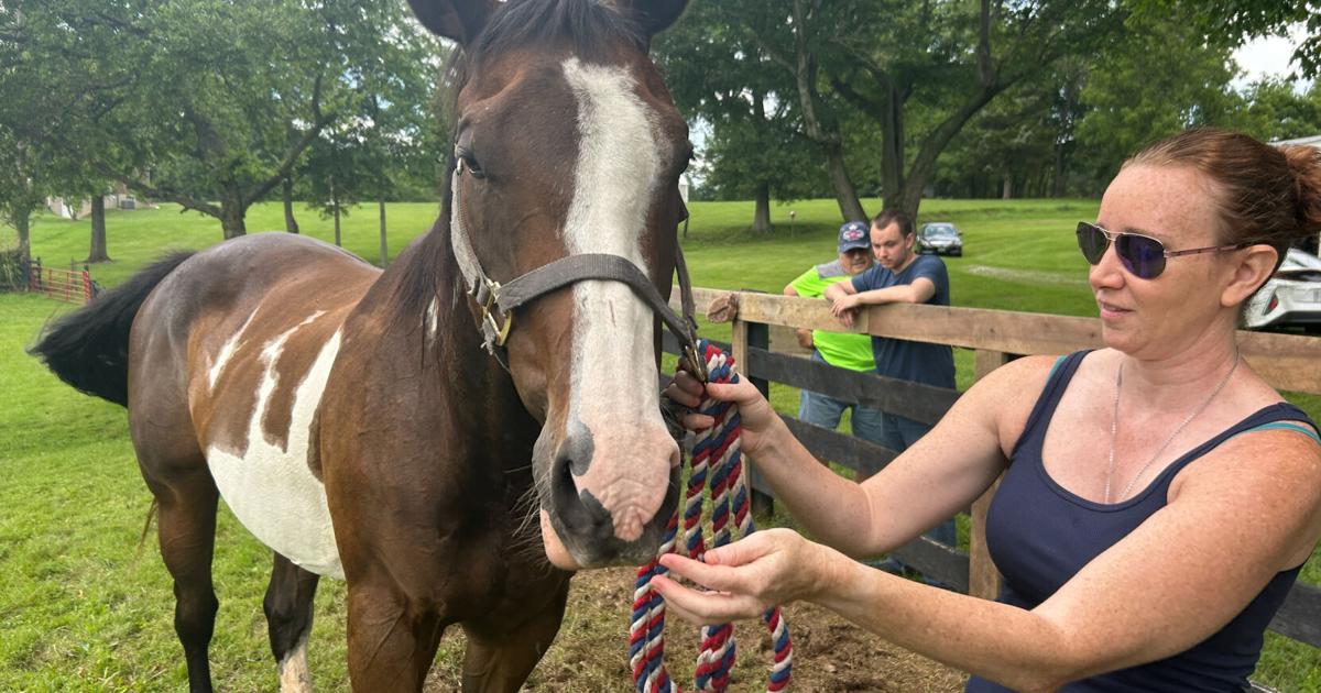 Equine therapy gives Louisville-area veterans a ‘calming’ respite from 4th of July triggers | News [Video]