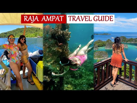 Raja Ampat, Indonesia! A TRAVEL GUIDE – How to Reach, Cost, Diving, Accommodation | Kri Eco Resort [Video]