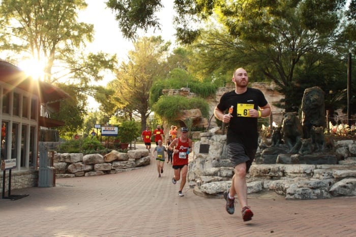 San Antonio Zoo to host annual Zoo Run for adults, kids in September [Video]