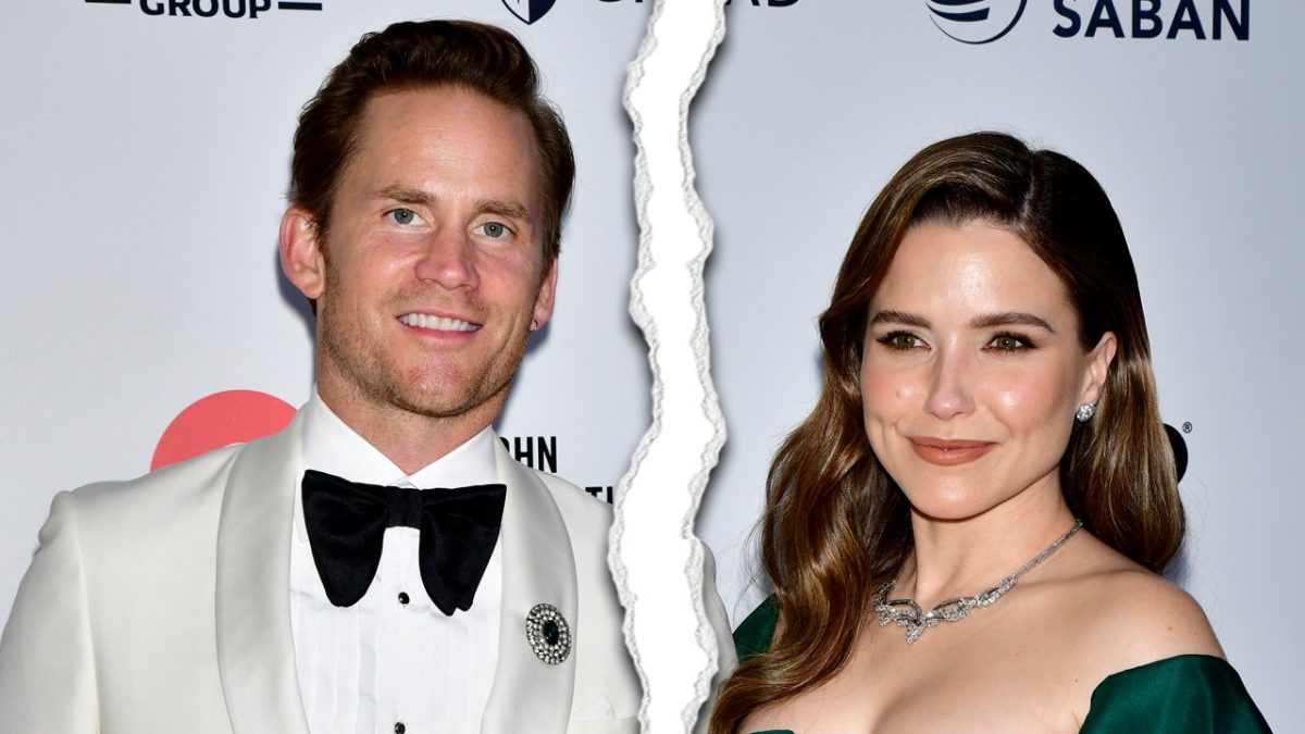 Sophia Bush Files for Divorce From Grant Hughes After 13 Months of Marriage [Video]