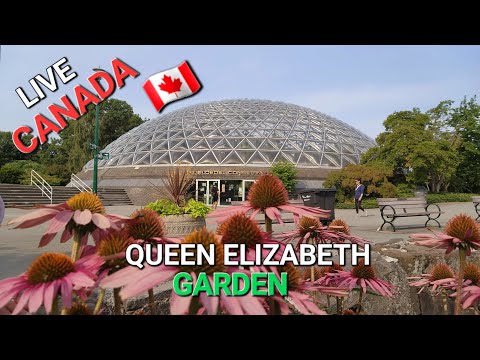 Walking Live Stream | Queen Elizabeth Park Vancouver Canada 🇨🇦 🍁 | Scenery Travel Vlog The Happsters [Video]