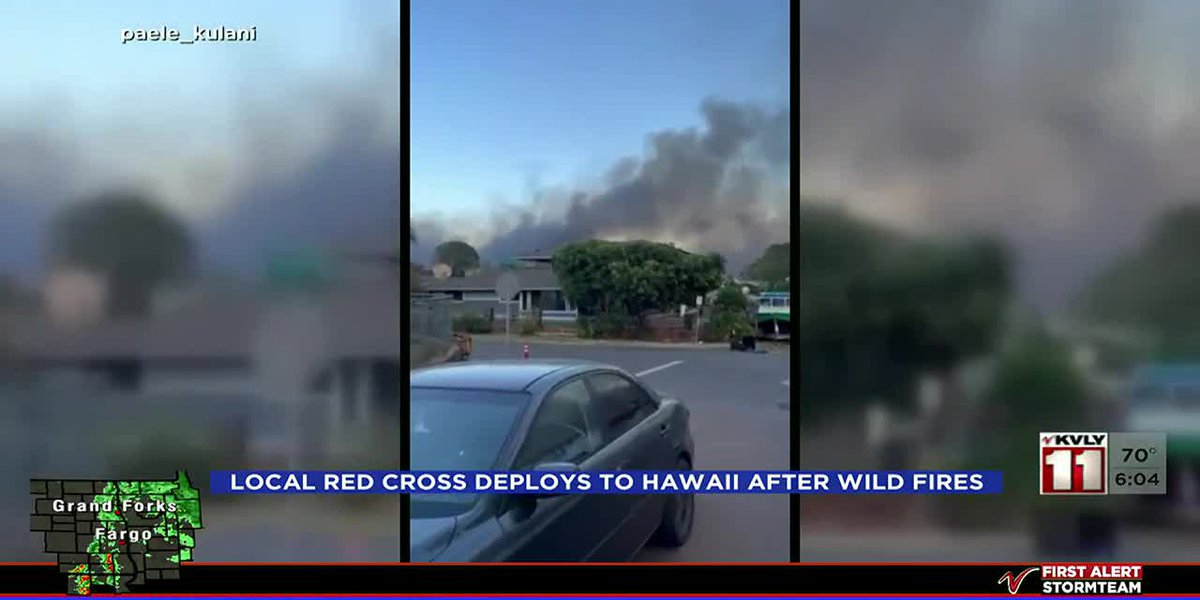 Completely decimated by the wildfire: local organizations offering aid to those impacted by wildfires in Hawaii [Video]