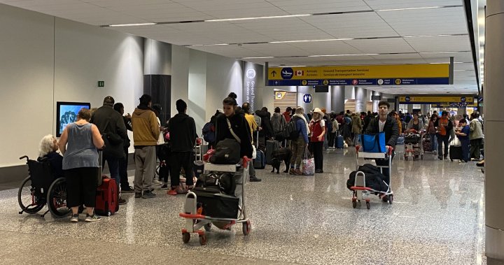 Its a lot: N.W.T. evacuees face long lines as they arrive to Calgary [Video]