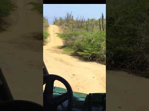 Rolling through Aruba Terrains [Video]
