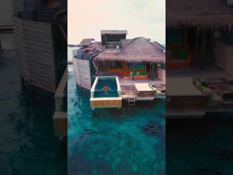 Living the tropical dream in The Maldives | Travel | Vacation | Holiday [Video]