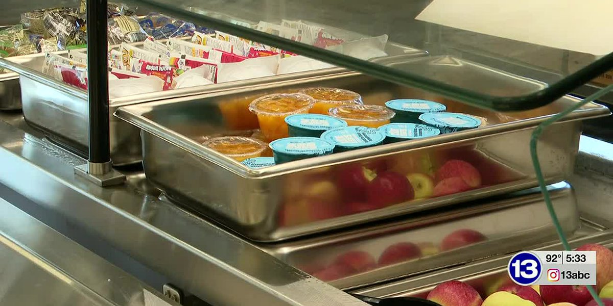 New funding allows Michigan public schools to offer free meals to all students [Video]