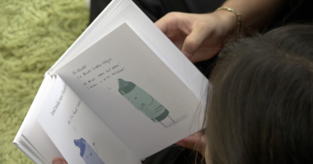 Literacy nonprofit helps thousands improve reading skills [Video]