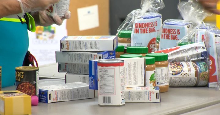 Toronto food bank sees a quarter-million visits in August [Video]