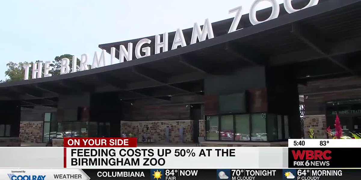 Birmingham Zoo set to host their biggest fundraiser of the year as the cost of animal food soars [Video]