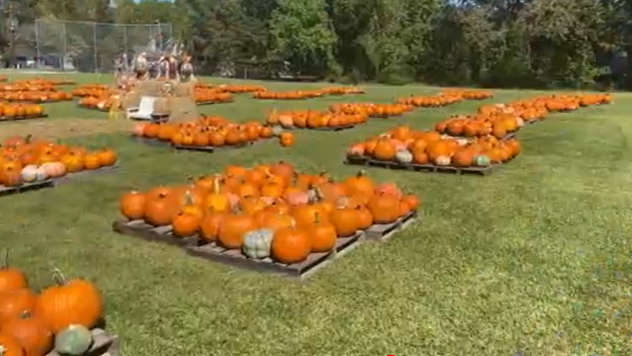 Pumpkin patch at church helps raise money for several Baton Rouge charities [Video]