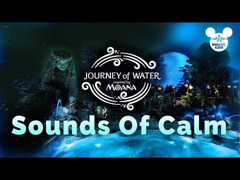 Relaxing Sounds of Nature – Journey of Water: Inspired by Moana I Walt Disney World [Video]