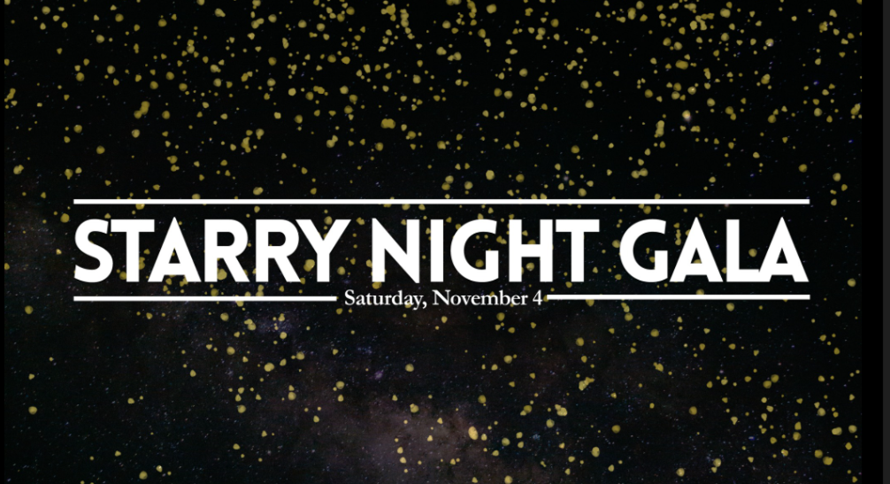 Tickets running low for Starry Night Gala [Video]