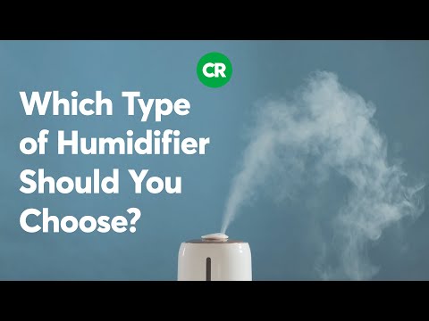 Which type of humidifier should you choose? | Consumer Reports [Video]