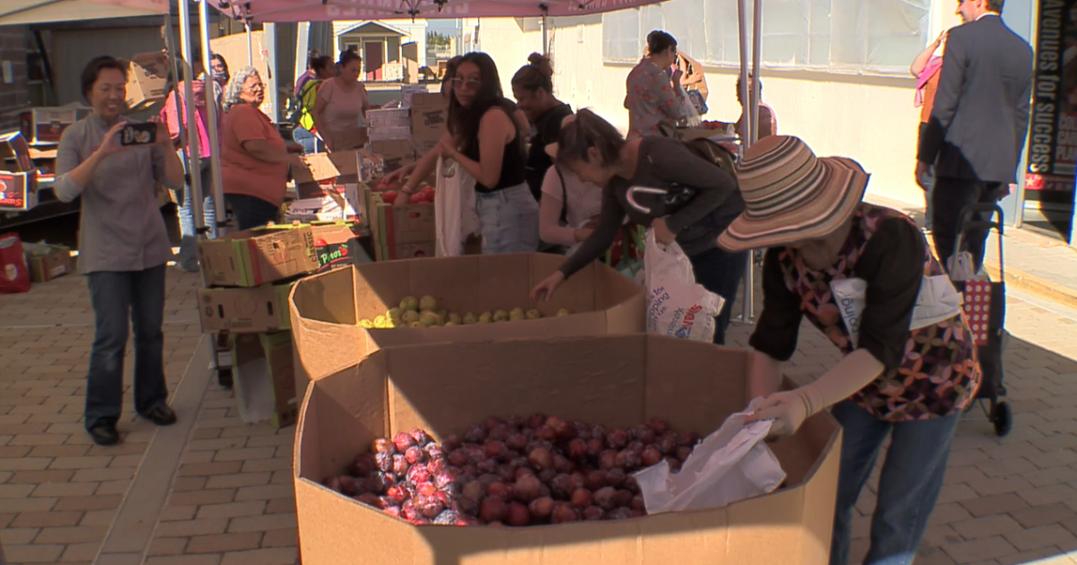 Month of a Million Meals: Fresh food pantries at schools combat food insecurity [Video]