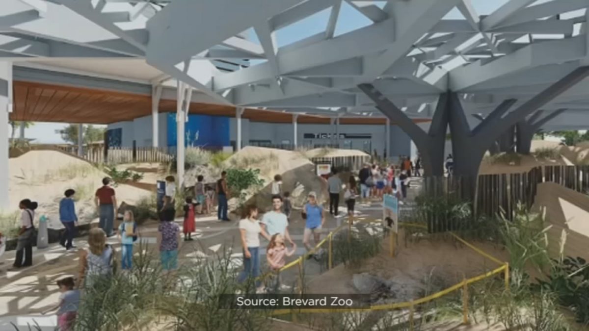 Brevard Zoo Updates Aquarium and Conservation Center Project  WFTV [Video]