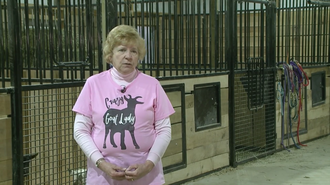 ‘Crazy Goat Lady’ from Missouri helps families all over the world [Video]